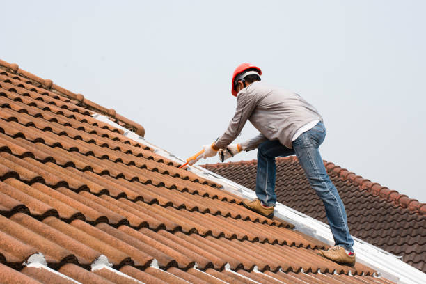 Best Chimney Flashing Repair  in Lake Camelot, IL