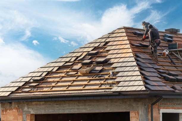 Best Roof Coating and Sealing  in Lake Camelot, IL
