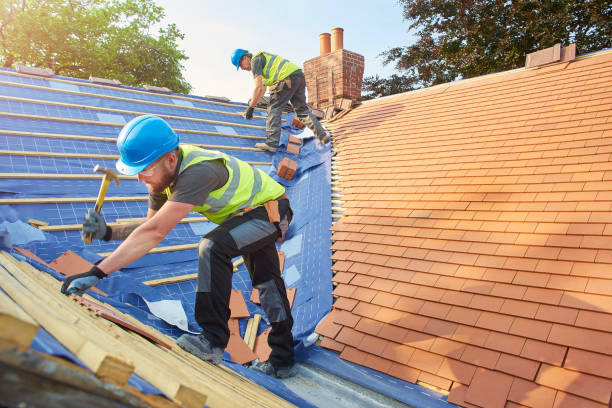 Best Skylight Installation and Repair  in Lake Camelot, IL